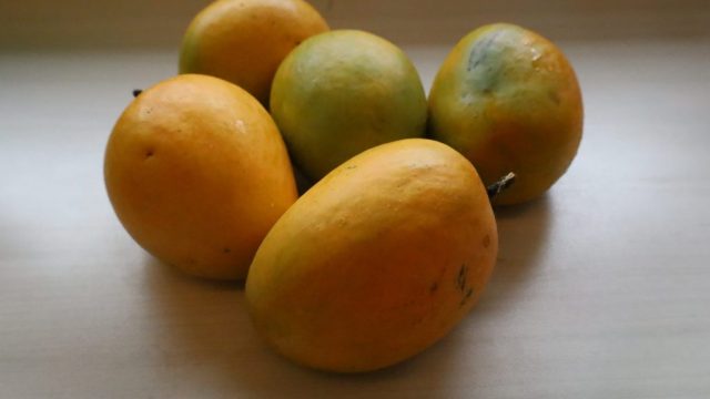 Discovering the Best Indian Mangoes in Philadelphia: A Flavor Adventure | rtp slot seven4d, mentari8