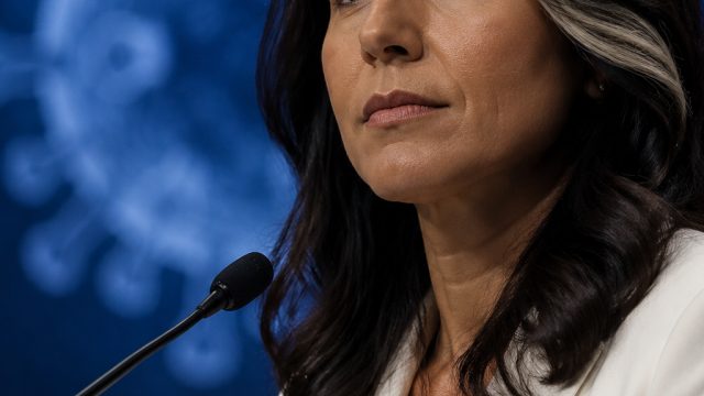 Examining Tulsi Gabbard's Recent COVID-19 Claims and Their Impact | world cup 2022 schedule, rtp slo