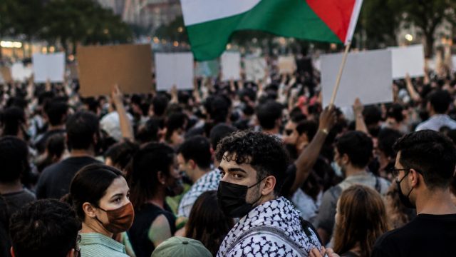 How New York's Primary Outcomes Reflect Democratic Divisions on Israel | piano, kakek123, wc brazil 
